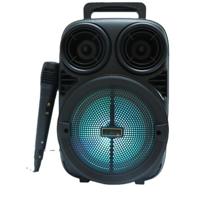 Amazon Best Selling Products In Usa Amazon 2022 Dj Speaker Usb_Tf_Fm Radio_Tws 5W 6.5Mm Plug Microphone Karaoke Speaker