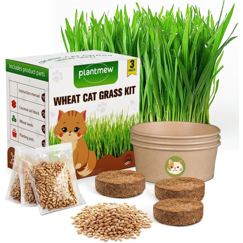 Cat Grass for Indoor Cats - Cat Grass Seeds Kit - Organic Cat Grass Growing Kit with High Germination Organic Wheat Seeds, Soil, and Planting Tools - Natural Hairball Control and Digestion Remedy Cat Grass for Indoor Cats - Cat Grass Seeds Kit - Organic Cat Grass Growing Kit with High Germination Organic Wheat Seeds, Soil, and Planting Tools - Natural Hairball Control and Digestion Remedy