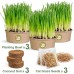 Cat Grass for Indoor Cats - Cat Grass Seeds Kit - Organic Cat Grass Growing Kit with High Germination Organic Wheat Seeds, Soil, and Planting Tools - Natural Hairball Control and Digestion Remedy Cat Grass for Indoor Cats - Cat Grass Seeds Kit - Organic Cat Grass Growing Kit with High Germination Organic Wheat Seeds, Soil, and Planting Tools - Natural Hairball Control and Digestion Remedy